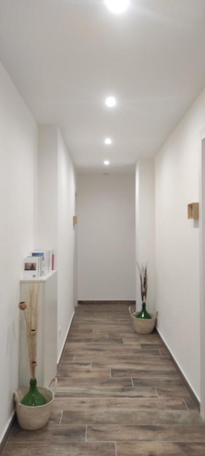 Green Suite Palermo Палермо Екстериор снимка